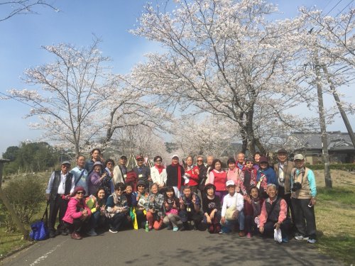 總會2018年春季旅遊─日本南九州鹿兒島賞櫻之旅